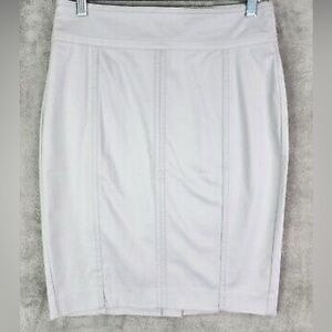 Ann Taylor Astor Pencil Skirt 🥰